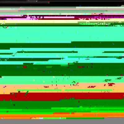 Caecilia Concert - BUXTEHUDE & CO.