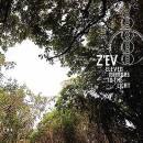 ZEV - Eleven Mirrors To The Light