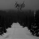Vardan - Winter Woods