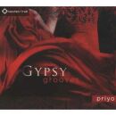 Priyo - Gypsy Grooves