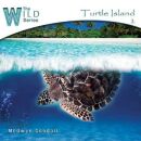 Goodall, Medwyn - Turtle Island