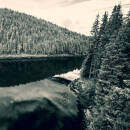 Negura Bunget - Tau (Artbook)