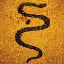 Soror Dolorosa (3Cd & 1 Dvd) - Apollo