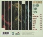 Gingerpig - Hidden From View