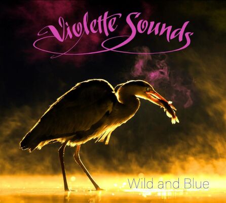 Violette Sounds - Wild And Blue (Pink Vinyl)