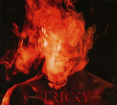 Tricky - Adrian Thaws