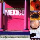 Son Jarocho De Tlacotalpan - Traditional Music From Mexico