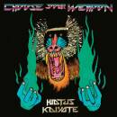 Hiatus Kaiyote - Choose Your Weapon