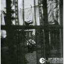 McCartney Paul - CHAOS AND CREATION IN THE BACK