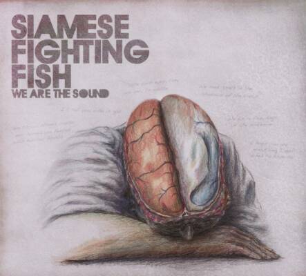 Siamese Fighting Fish - We Are The Sound
