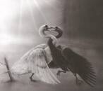 Alghazanth - The Three-faced Pilgrim