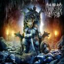 Syn Ze Sase Tri - Stapin Peste Stapini