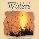 Global Vision Project, The - Still Waters