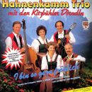 Hahnenkamm Trio / Kitzbühl.dirnd - I Bin So Gern...