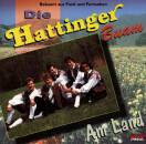 Hattinger Buam - Am Land