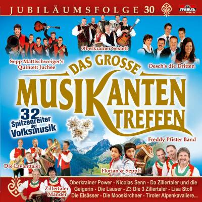 Das Grosse Musikantentreffen,Folge 30 (Various)