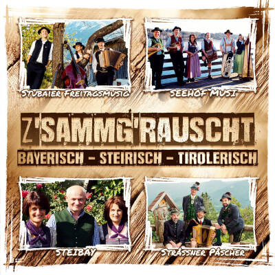 z´ sammg´ rauscht/Bayrisch-Steirisch-Tirolerisch (Diverse Interpreten)