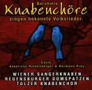 Beruehmte Knabenchoere sing.bek. (Diverse Interpreten)