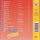 Schwyzerörgeli / Quartett Heimisbach - Früsch Gstimmt