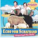 Schwyzerörgeliduo Mathis - Echo Vom Schafband