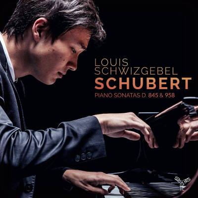 Schubert Franz - Piano Sonatas D.845 & 958 (Schwizgebel Louis)