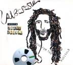 Alborosie Meets Roots Radics - Dub For The Radicals