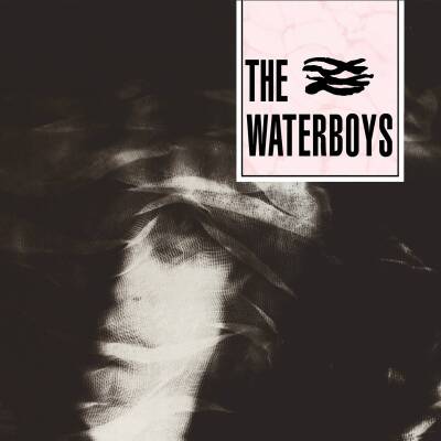 Waterboys, The - The Waterboys