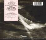 Waterboys, The - The Waterboys