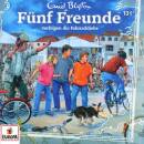 Fünf Freunde - 131/verfolgen die Fahrraddiebe