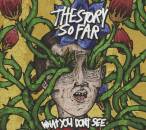 Story So Far, The - What You Don´t See