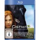 Ostwind - Zusammen sind wir frei (Blu-ray)...
