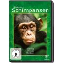 Schimpansen - Chimpanzee