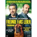 Freunde fuers Leben - Truman
