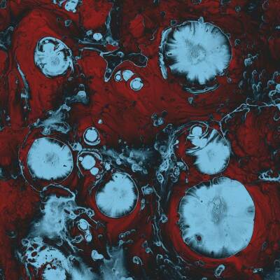 Black Queen - INFINITE GAMES