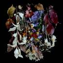 Paws - YOUR CHURCH ON MY BONFIRE