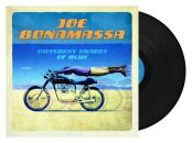 Bonamassa Joe - Different Shades Of Blue (...16: Picture...