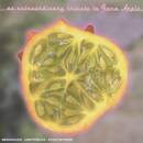 EXTRAORDINARY TRIBUTE TO (Diverse Interpreten)