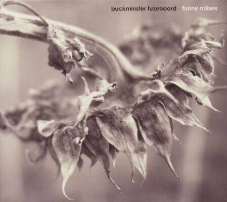 Buckminster Fuzeboard - Tamte Czasy