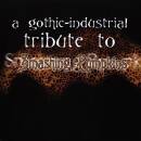GOTIC INDUSTRIAL TR..-13T (Diverse Interpreten)
