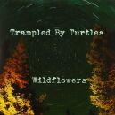 Trampled By Turtles - 7-Wildflowers
