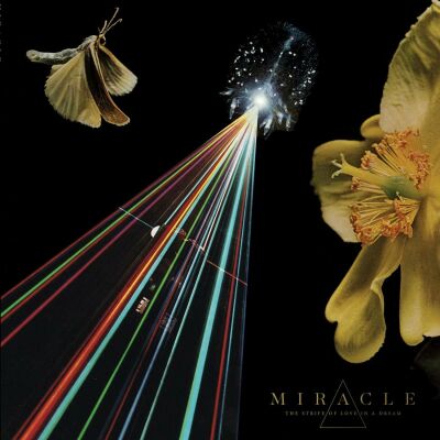 Miracle - Strife Of Love In A Dream
