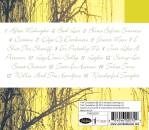 INSTRUMENTAL ERIC CLAPTON (Diverse Interpreten)