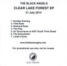 Black Angels, The - Clear Lake Forest