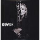 Walsh Joe - Analog Man (Deluxe CD + DVD Video)