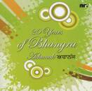 20 YEARS OF BHANGRA (Diverse Interpreten)