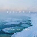 Balakirskaya Tatiana / Baldes Jochen / u.a. - DECEMBER