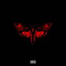 Lil Wayne - I´m Not A Human Being Ii