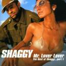 Shaggy - Mr. Lover, Lover (The Best Of Shaggy Part 1)
