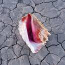 Killers, The - Wonderful Wonderful (Deluxe Edition)