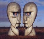 Pink Floyd - Division Bell, The (REMASTERED)